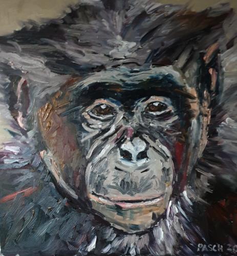 Schimpanse III